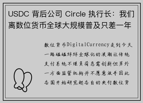 USDC 背后公司 Circle 执行长：我们离数位货币全球大规模普及只差一年了